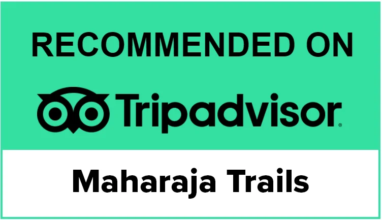 TripAdvisor Recommended — GTT Experts