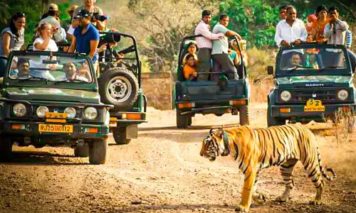 Golden Triangle Tour with Ranthambore