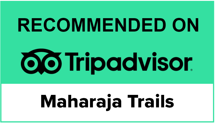 TripAdvisor Reviewed